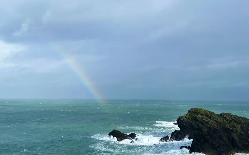 View To Talisk Form The Butt